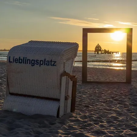 Kranichtanz An Der Seebruecke Zingst