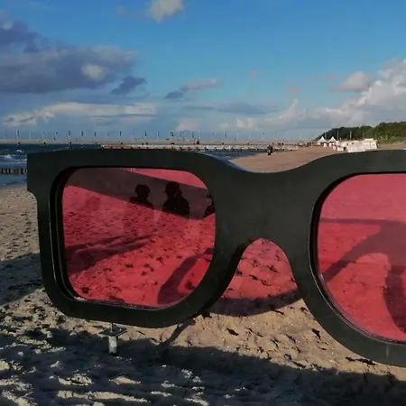 Kranichtanz An Der Seebruecke דירה זינקסט